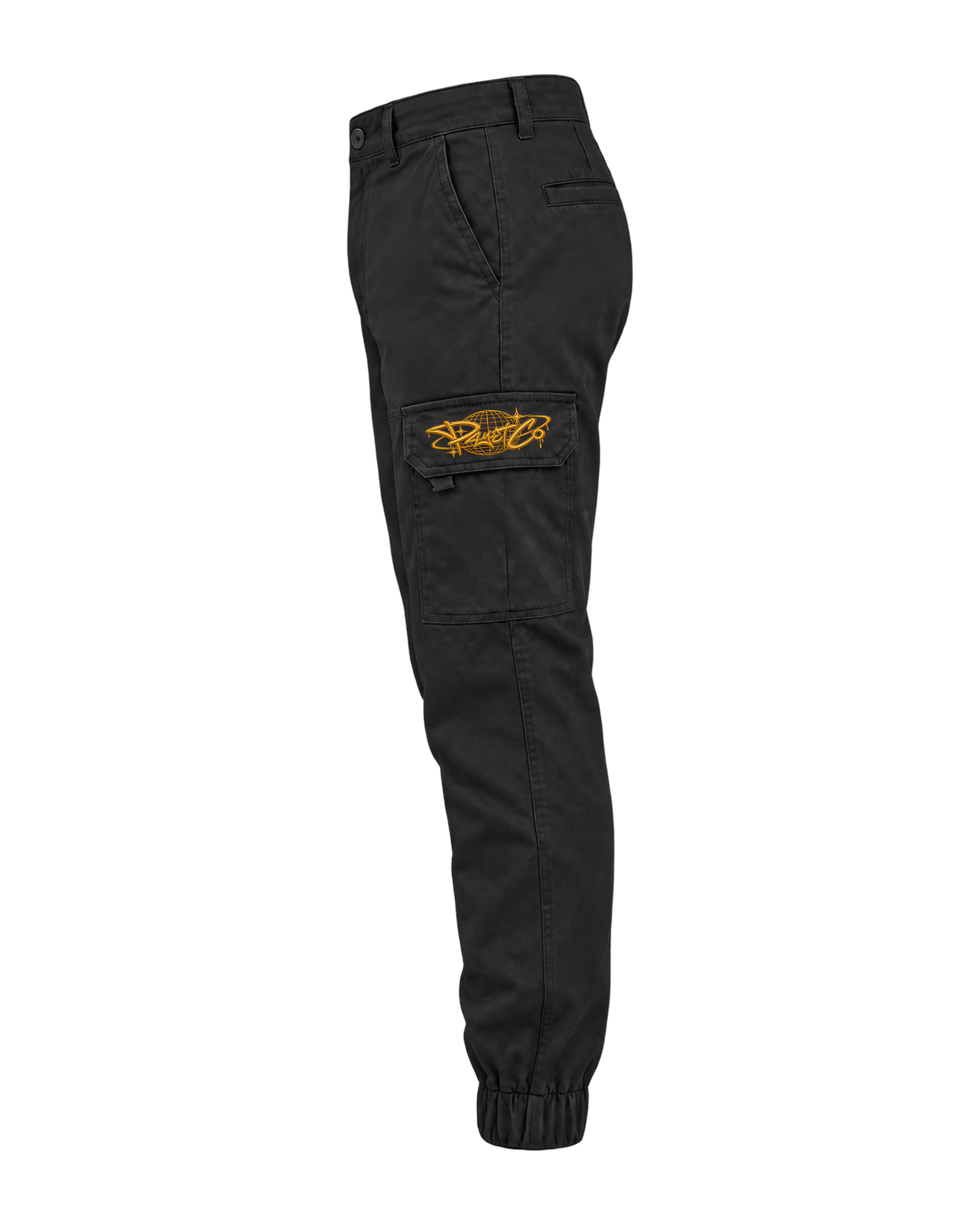 Payet Co Worldwide Cargo Pants - Black — back